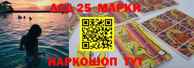 мяу мяу мука Краснознаменск