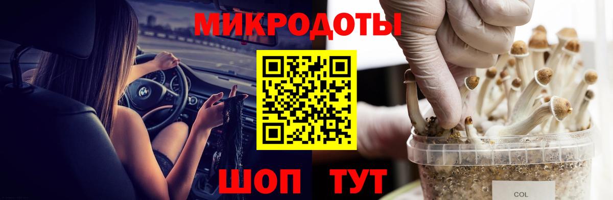 Сибай  Галлюциногенные грибы Cubensis  Вход с VPN  Галлюциногенные грибы GOLDEN TEACHER 